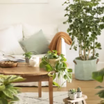 Jardin Urbain
