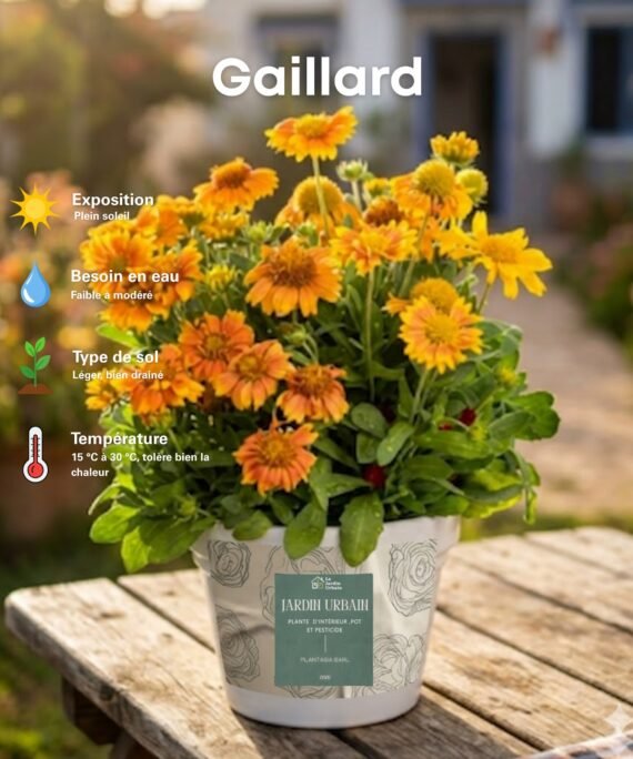 Gaillarde