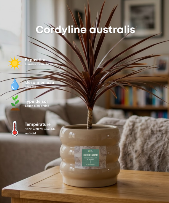 Cordyline australis