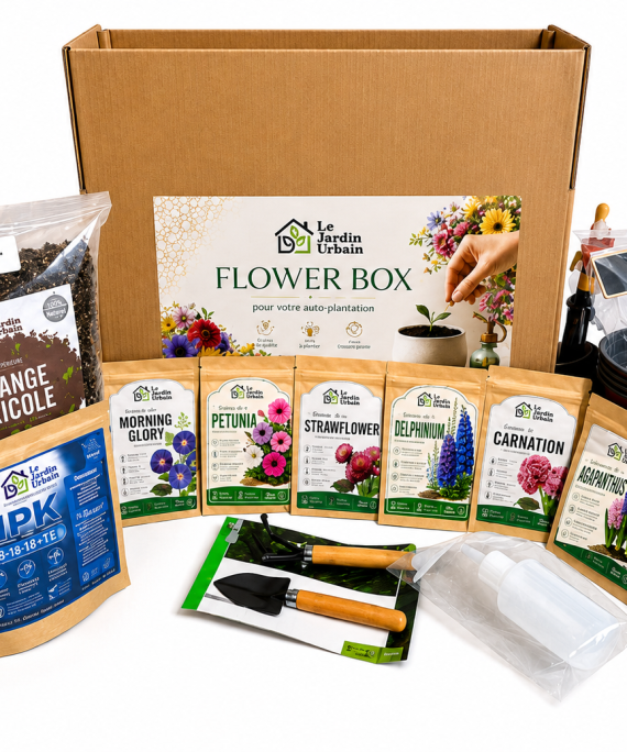 Flower Box