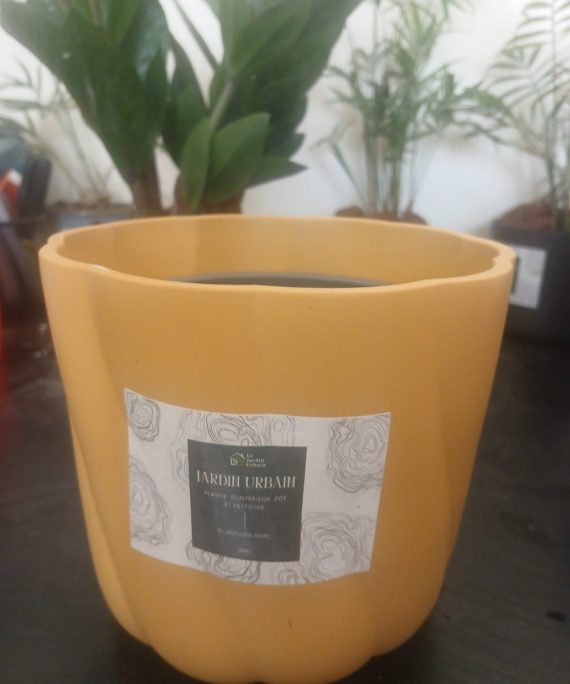 Pot Jaune