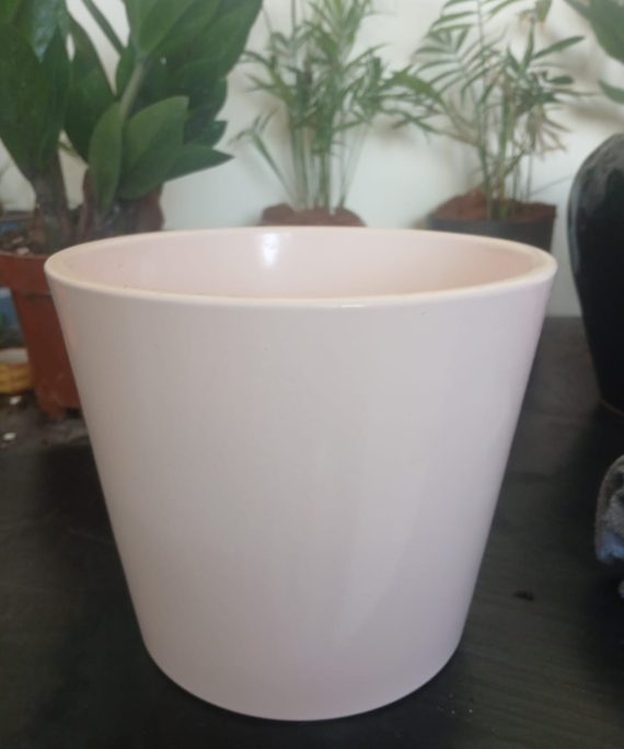 Pot Blanc
