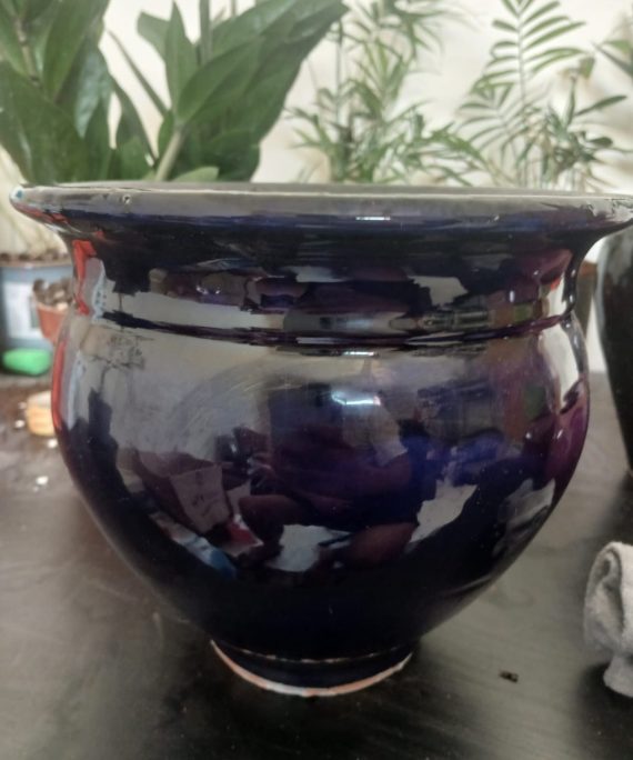 pot 7