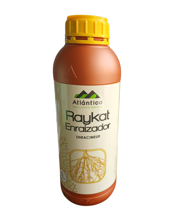 Raykat Enraizador