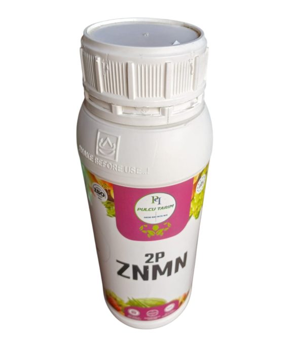 Oligo-éléments 2P ZNMN