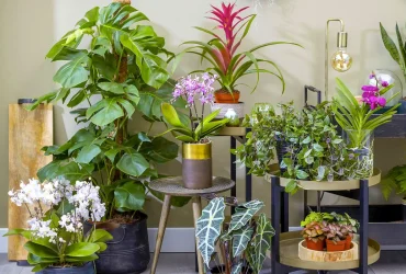 Jardin Urbain