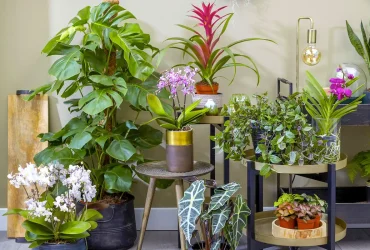 Jardin Urbain
